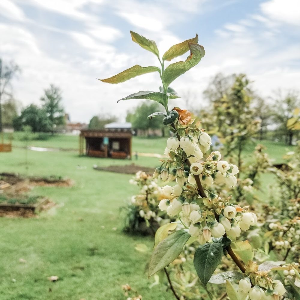 Indiana Community Garden